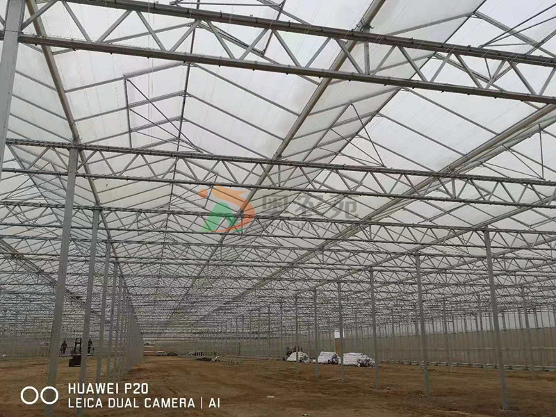 甘肅高新農業示范園區新型智能荷蘭溫室項目30000㎡